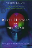 A Brief History of the Mind from Apes to Intellect and Beyon -  Calvin