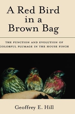 A Red Bird in a Brown Bag - Geoffrey E. Hill