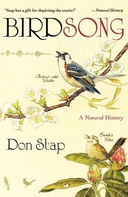 Birdsong - Don Stap