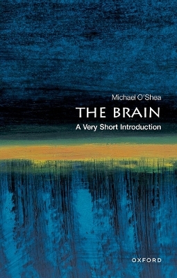 The Brain: A Very Short Introduction - Michael O'Shea