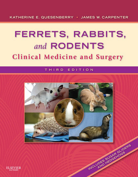 Ferrets, Rabbits and Rodents -  Katherine Quesenberry,  James W. Carpenter