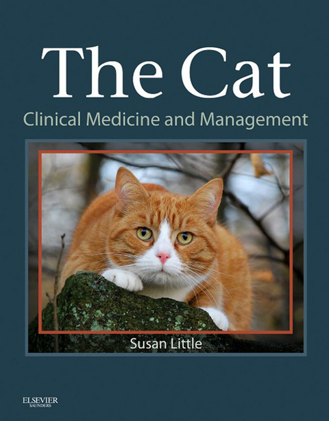 Cat -  Susan E. Little