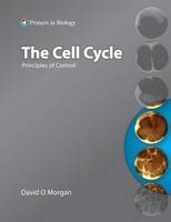 The Cell Cycle - David Morgan