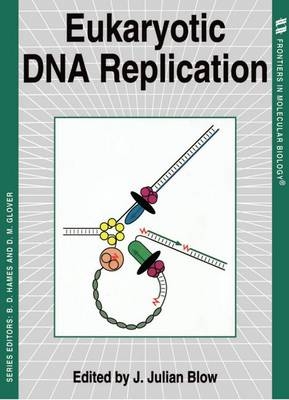 Eukaryotic DNA Replication - 