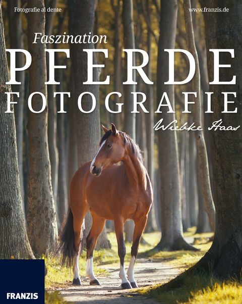 Faszination Pferdefotografie - Wiebke Haas