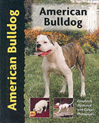 American Bulldog - Abe Fishman