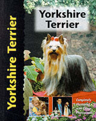 Yorkshire Terrier - Rachel Keyes