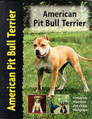 American Pit Bull Terrier - F. Favorito