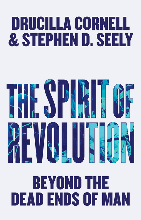 Spirit of Revolution -  Drucilla Cornell,  Stephen D. Seely