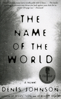 The Name of the World - Denis Johnson