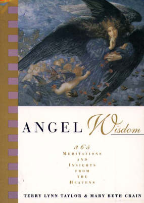 Angel Wisdom - Terry Lynn Taylor, M B Cain