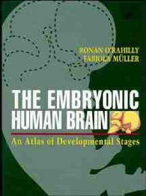 The Embryonic Human Brain - Ronan R. O'Rahilly, Fabiola Muller, Fabiola Mueller
