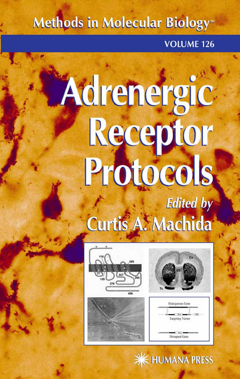 Adrenergic Receptor Protocols - 