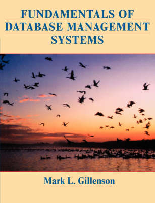 Fundamentals of Database Management Systems - Mark L. Gillenson