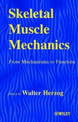 Skeletal Muscle Mechanics - 