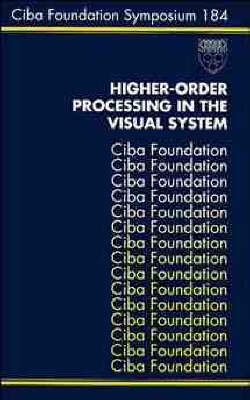 Higher-order Processing in the Visual System - 