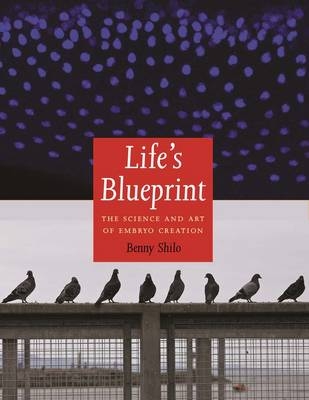 Life's Blueprint - Benny Shilo