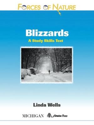 Blizzards - Linda Wells