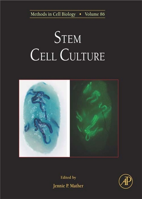 Stem Cell Culture - 