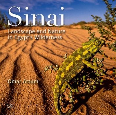 Sinai - Omar Attum