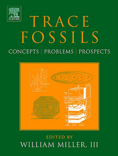 Trace Fossils - 