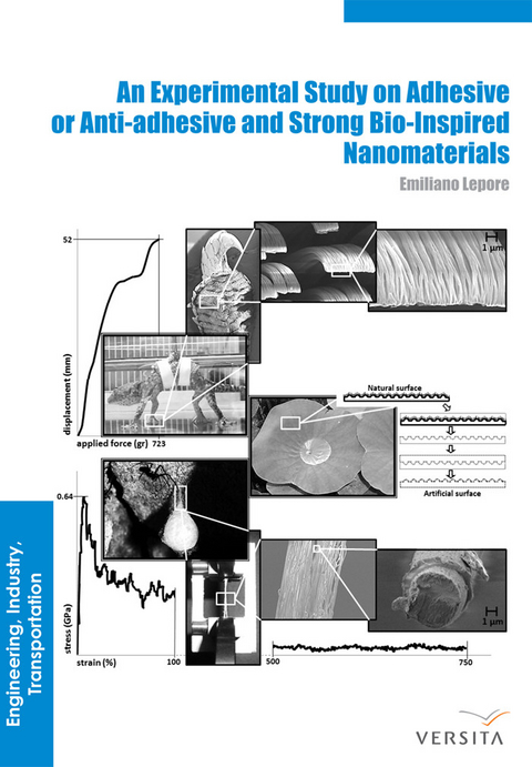 An Experimental Study on Adhesive or Anti-adhesive, Bio-inspired Experimental Nanomaterials -  Emiliano Lepore,  Nicola Pugno