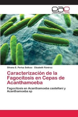 CaracterizaciÃ³n de la Fagocitosis en Cepas de Acanthamoeba - Silvana B. Pertuz Belloso, Elizabeth RÃ¡mirez