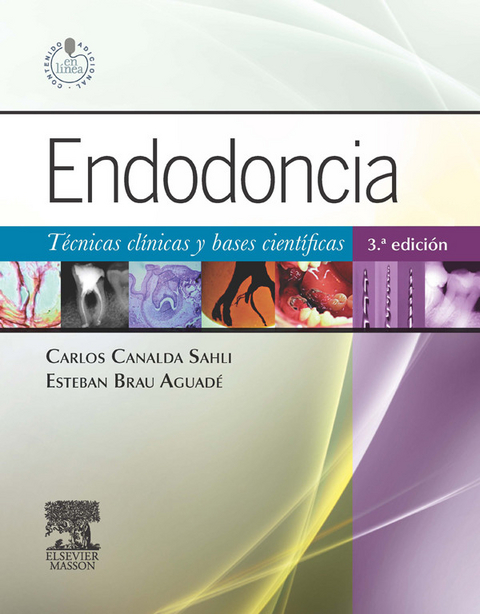 Endodoncia + StudentConsult en español - 