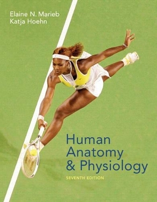 Human Anatomy & Physiology - Elaine N. Marieb, Katja Hoehn