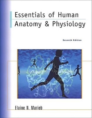 Essentials of Human Anatomy & Physiology - Elaine N. Marieb