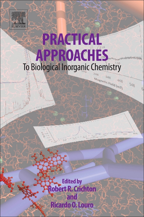 Practical Approaches to Biological Inorganic Chemistry - 