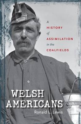 Welsh Americans - Ronald L. Lewis