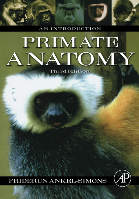 Primate Anatomy -  Friderun Ankel-Simons