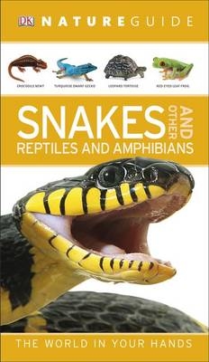 Nature Guide Snakes and Other Reptiles and Amphibians -  Dk