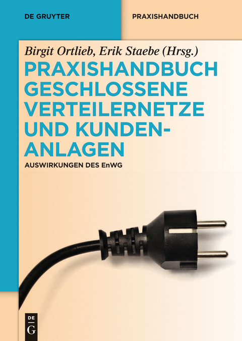 Praxishandbuch Geschlossene Verteilernetze und Kundenanlagen - 