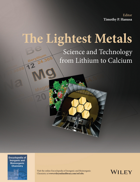 The Lightest Metals - Timothy P. Hanusa