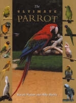 The Ultimate Parrot - 