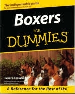 Boxers for Dummies - Richard G. Beauchamp