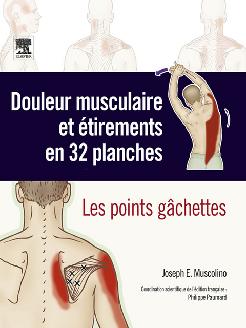 Douleur musculaire et étirements en 32 planches -  Joseph E. Muscolino,  Philippe Paumard,  John Scott &  amp;  Co