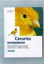 Canaries - Sigrun Rittrich-Dorenkamp