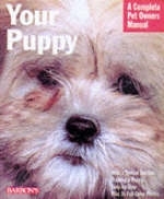 Your Puppy - Katharina Schlegl-Kofler