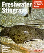 Freshwater Stingrays - Richard Ross