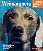 Weimeraners - Sue Fox