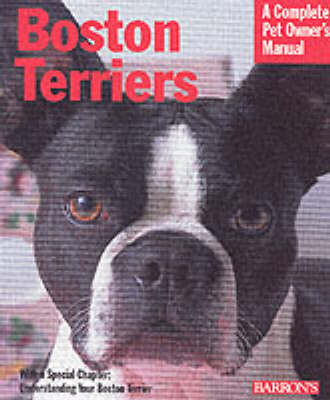 Boston Terriers - Susan Bulanda