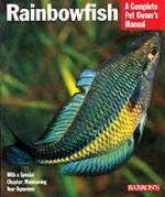 Rainbowfish -  Schmida