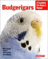 Budgerigars - Immanuel Birmelin