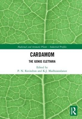 Cardamom - 