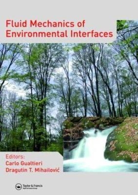 Fluid Mechanics of Environmental Interfaces - 