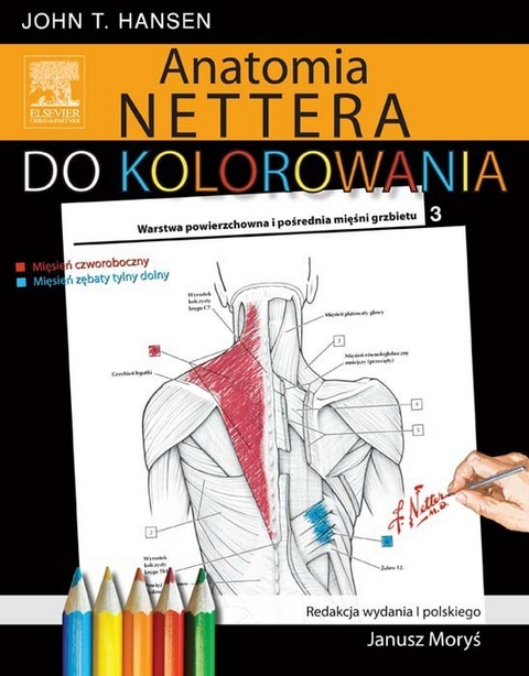 Anatomia Nettera do kolorowania -  John Hansen