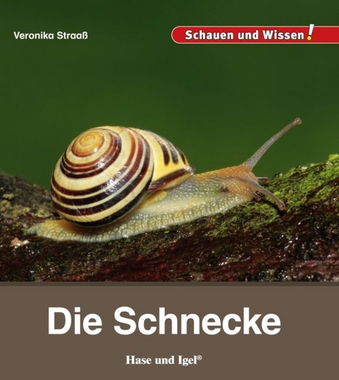 Die Schnecke - Veronika Straaß